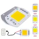 20W 30W 50W LED COB lampada Bead AC 220V IP65 Smart IC non c' è bisogno di Driver fai da te luce di inondazione Led lampadina faretto lampada esterna Chip