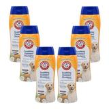 Arm & Hammer for Pets Soothing Oatmeal Pet Shampoo | Moisturizing Dog Shampoo with Gentle Cleansing formula | Vanilla Coconut 20 Ounces - 6 Pack Shampoo for Pets 20 oz - 6 Count