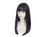 NRUDPQV wigs human hair Black wig Wig Female Long Straight Fiber Highlights Wig Bangs Net Hanging Ear Dyed Wig Set Hair Tail Inside Buckle Long Hair