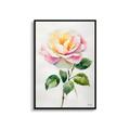 Mrs Henri's Rosa Madame Alfred Carriére Minimalist Art Print Watercolour Botanical Framed Rose Wall Art Poster