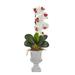 Nearly Natural Phalaenopsis Orchid and Succulent Artificial Arrangement in Urn