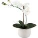 Artificial Flower 12 In H Real-Touch In 3.5 Mayan Ceramic Pot Matte White