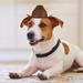 Puppy Cowboy Hat Dog Cat Cowboy Hat Pet Cowboy Headwear Halloween Pet Cosplay Accessories