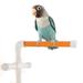 bird perches Scrub Portable Bird Parrot Perches Suction Cup Shower Perch Stand Window Shower Bath Wall Paw Grinding Stand Toy (Ramdom Color)