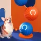 Jouet Intelligent pour Chien et Chat Balle Roulante et Rebondisnoyaux existent Jouet Interactif