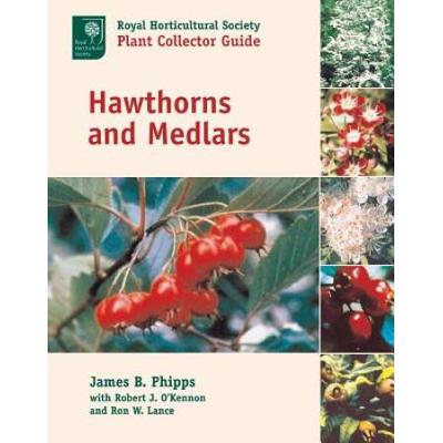 Hawthorns And Medlars