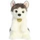 Aurora® Adorable Miyoni® Sitting Pretty™ Husky Pup Stuffed Animal - Lifelike Detail - Cherished Companionship - White 10 Inches