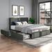 Queen/Full Size Velvet Upholstered Wingback Platform Bed with 4 Storage Drawers