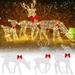 Teissuly 3-Piece Large Lighted Christmas Deer Family Set Outdoor Yard Decoration with 60 LED Lights Stakes Zip Ties - White