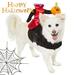 Yirtree Chucky Inspired Halloween Pet Costume Pumpkin Ride Design Fastener Tape Adjustable Medium Pet Costume Supplies