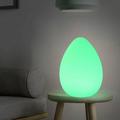 11 Egg Shaped Dimmable LED Mood Lamp Night Light with Remote Control