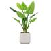 Vintage Home Artificial Faux Real Touch 61 Tall Philodendron Erubescens Green Emerald