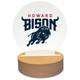 Howard Bison Team Logo Acrylic LED Light