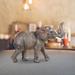 Bungalow Rose 6"W Wildlife Baby Elephant Cub w/ Trunk Up Figurine Unique Gifts Resin | 6.5 H x 6 W x 5 D in | Wayfair