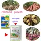 Tuber Expansion Fertilizer Plant Food Promote Rhizome Growth Root Crop Hydroponics Farm Vegetable