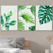 IDEA4WALL Set Tropical Monstera Palm Leaf Variety Floral Plants Colorful On Canvas 3 Pieces Print Canvas in Blue/Green/White | Wayfair
