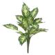 Diffenbachia Exotica Bush (18inch) Artifcial Greenery House Plants