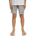 Quiksilver Easy Day - Sweat shorts for Boys 8-16 Grigio