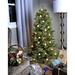 The Holiday Aisle® Cottonwood 5' Green Pine Artificial Christmas Tree w/ 250 Clear Lights in Green/White | 60 H x 38 W x 38 D in | Wayfair