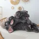 Poupées en peluche Disney Winnie Bear pour enfants animaux en peluche doux comparateur de
