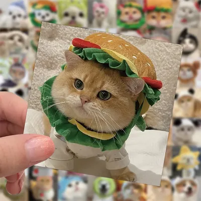 10/30/60PCS Nette Katze Hund Aufkleber Cartoon Tier Aufkleber DIY Dekoration Motorrad Notebook Image