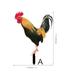 2Pcs Garden Chicken Stakes Acrylic Hen Stakes Decorative Chicken Stakes Lawn Yard Chicken Stakes