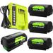 4Packs 40V Lithium Batteries & Charger Compatible with Ryobi 40 Volt 6.0Ah OP4026 OP40601 OP4050A OP4040 OP4030 OP4050 OP4015 OP40201