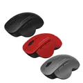 Mouse Wireless USB Mouse per Computer Mouse ergonomico silenzioso 2000 DPI Mouse ottico Mause Gamer Mouse silenzioso Wireless per PC portatile