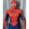 Raimi Classic Spiderman Costume Cosplay 3D stampato Spandex tuta supereroe Raimi Spidey ragazzi