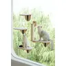 Mewoofun Air Cat Climbing Frame Cat Window Jumping Climbing Platform ventosa in vetro mensola a