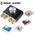 Douk audio Hi-Fi Bluetooth 5.0 Amplificatore digitale Stereo 2.0 Ch Mini TPA3116 Amplificatore ad alta potenza Ricevitore audio wireless DC12V