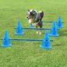 3 Set Dog Hurdle Training Cone Pet Dog Training Products Outdoor Dogs Running Training Equipment