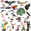 Oenux Cute Lovely Bird Animals Action Figure Woodpecker Parrot Eagle Phoenix Birds Miniature Model