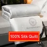 Genuine silk quilt 100% mulberry silk luxury warm quilt spring autumn winter quilt single double