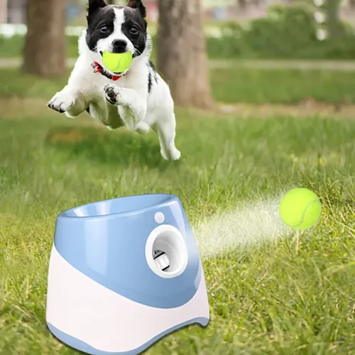Hunde training Katapult Ball Launcher Hunde Spielzeug Tennisball Launcher Springen Ball Pitbull