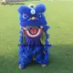 Premium Blinking Eyes Chinese Traditional Culture Lion Dance Puppet Mascot Costume For Kid Outfit