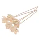 2PCS 5PCS Water Lily Flower Aromatherapy Rattan No Fire Aroma Diffuser Sticks Home Living Room