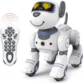 Kabelloser Griff Emo Roboter Smart Toys Tanz Sprach befehl Sensor singen tanzen Roboter Spielzeug