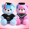 Neue Krawatte gefärbte Abschluss Teddybär Plüsch tier Bild Design kleiner Bär Kinder Geburtstag