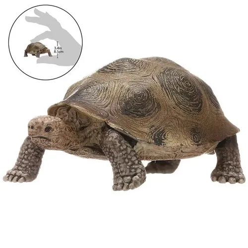 3 4 Zoll Riesen schildkröte Nimal Modell Galapagos Schildkröte Schildkröte Modell Figur Tier