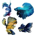 Three Ratels QCF52 Colorful fighting fish lovely little goldfish wall sticker art for home