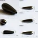 2019 New 3/5/10PCS For Choose Tungsten Bullet Worm Weight Flipping Weight 0.75g 1.25g 1.75g 2.75g