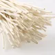 30PCS L15/20/30CM Fragrance Diffusion Accessories Fiber Stick Plant Willow Branch，Home Fireless