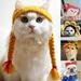 KAOU Cute Cartoon Handmade Dog Cat Hat Animal Party Costume Cap Pet Decor Accessory Red