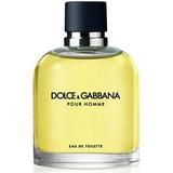 Dolce & Gabbana Pour Homme Eau-de-toilette Spray For Men 2.5 oz