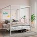 Latitude Run® Hummna Canopy Bed Metal in White | 71.9 H x 54.3 W x 78.3 D in | Wayfair 81A4C5B2098841339F5A628378CD7D72