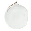 1pc Clear Hanging Glass Vase Flat Base Design Ball Shape Flower Plants Terrarium Vase Container Landscape DIY Wedding Home Decoration(Ball Shape)