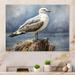 Highland Dunes Watchful Seagull I - Seagull Metal Wall Decor Metal in White | 12 H x 20 W x 1 D in | Wayfair ECB87104BA9140BFB7F886FF4192A2CE