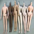 Licca – figurines de poupée articulées pour garçon et fille modèle Original existe en marron