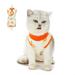 Cat Surgical Recovery Suit After Surgery Wear Pajama Suit Home Indoor Pets Clothing(Orange) - S